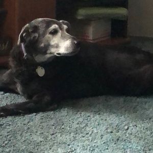 Meet your Posher, Laura